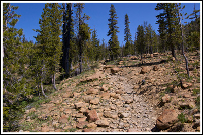 The trail to Navaho Pass, aka Stafford Creek Trail, aka Trail #1359